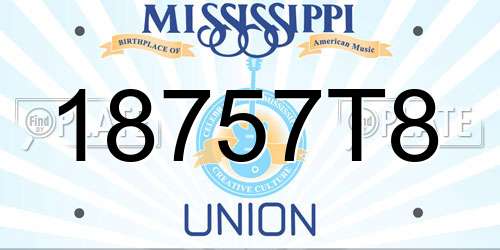 18757T8 Mississippi License Plate