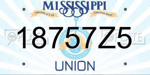 18757Z5 Mississippi License Plate