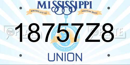18757Z8 Mississippi License Plate