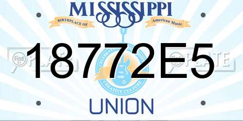 18772E5 Mississippi License Plate