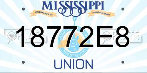 18772E8 Mississippi License Plate