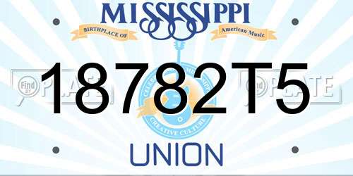 18782T5 Mississippi License Plate