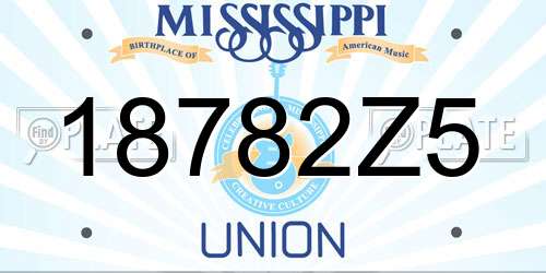 18782Z5 Mississippi License Plate