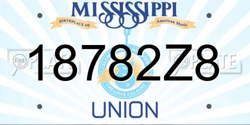18782Z8 Mississippi License Plate