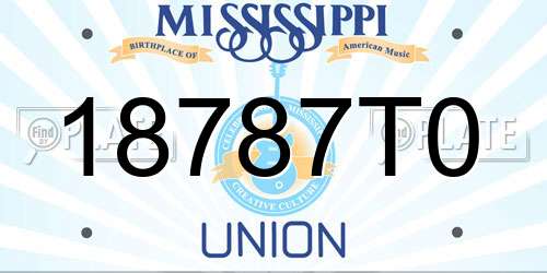 18787T0 Mississippi License Plate