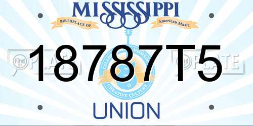 18787T5 Mississippi License Plate