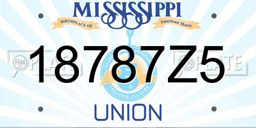 18787Z5 Mississippi License Plate