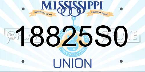 18825S0 Mississippi License Plate