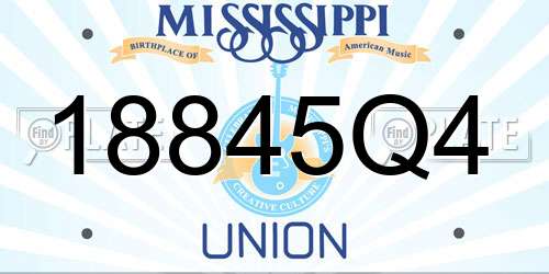 18845Q4 Mississippi License Plate
