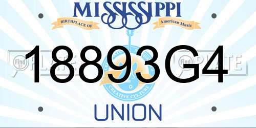 18893G4 Mississippi License Plate