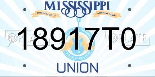 18917T0 Mississippi License Plate