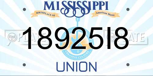 18925I8 Mississippi License Plate