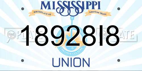 18928I8 Mississippi License Plate