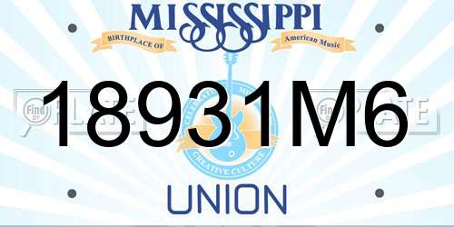 18931M6 Mississippi License Plate