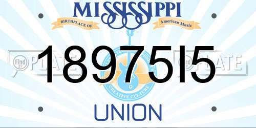 18975I5 Mississippi License Plate