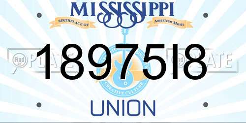 18975I8 Mississippi License Plate