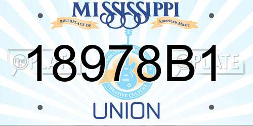 18978B1 Mississippi License Plate
