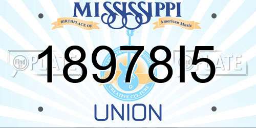 18978I5 Mississippi License Plate