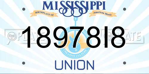 18978I8 Mississippi License Plate