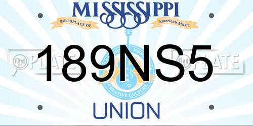 189NS5 Mississippi License Plate