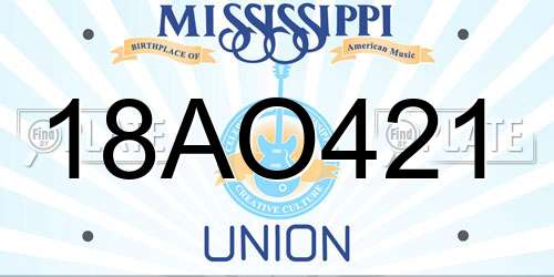 18AO421 Mississippi License Plate