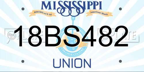 18BS482 Mississippi License Plate