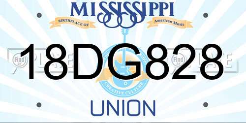 18DG828 Mississippi License Plate