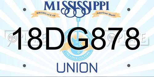 18DG878 Mississippi License Plate
