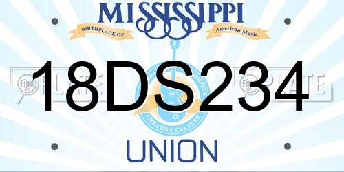18DS234 Mississippi License Plate
