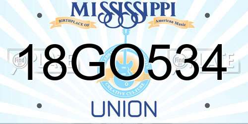 18GO534 Mississippi License Plate