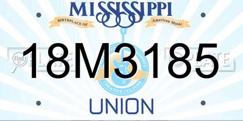 18M3185 Mississippi License Plate