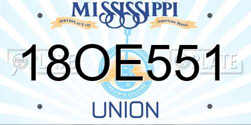 18OE551 Mississippi License Plate