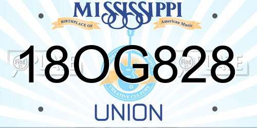 18OG828 Mississippi License Plate