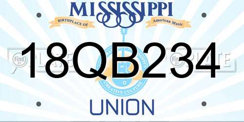 18QB234 Mississippi License Plate