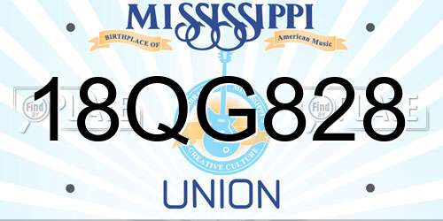 18QG828 Mississippi License Plate