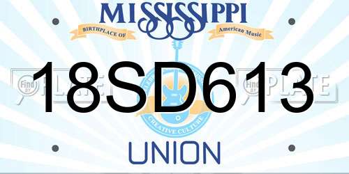 18SD613 Mississippi License Plate