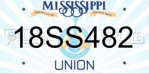 18SS482 Mississippi License Plate