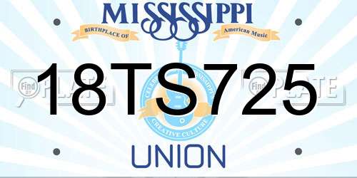 18TS725 Mississippi License Plate