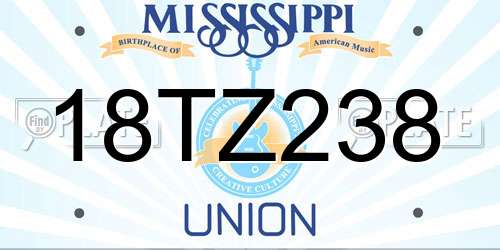 18TZ238 Mississippi License Plate