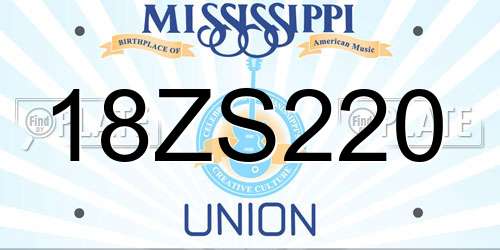 18ZS220 Mississippi License Plate