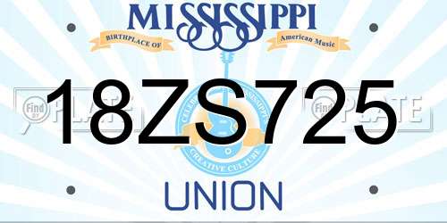18ZS725 Mississippi License Plate