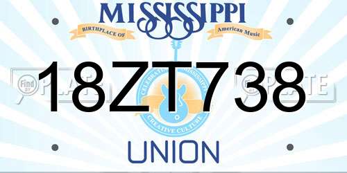 18ZT738 Mississippi License Plate