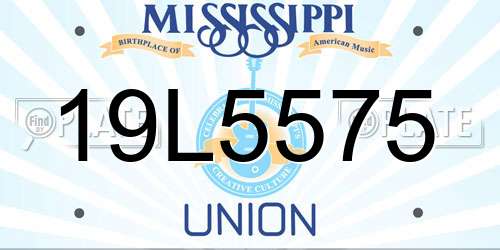 19L5575 Mississippi License Plate