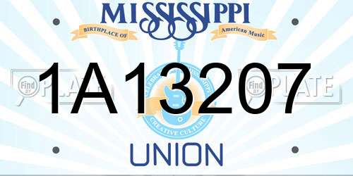 1A13207 Mississippi License Plate