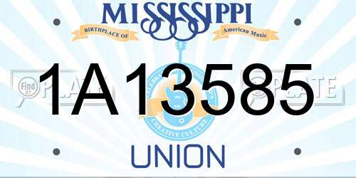 1A13585 Mississippi License Plate