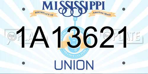 1A13621 Mississippi License Plate