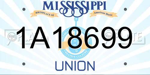 1A18699 Mississippi License Plate