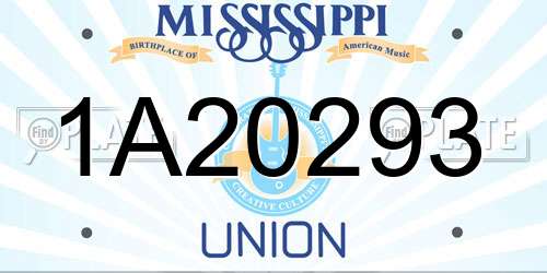1A20293 Mississippi License Plate
