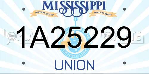 1A25229 Mississippi License Plate