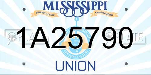 1A25790 Mississippi License Plate